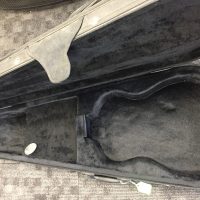 Cases and Gig Bags